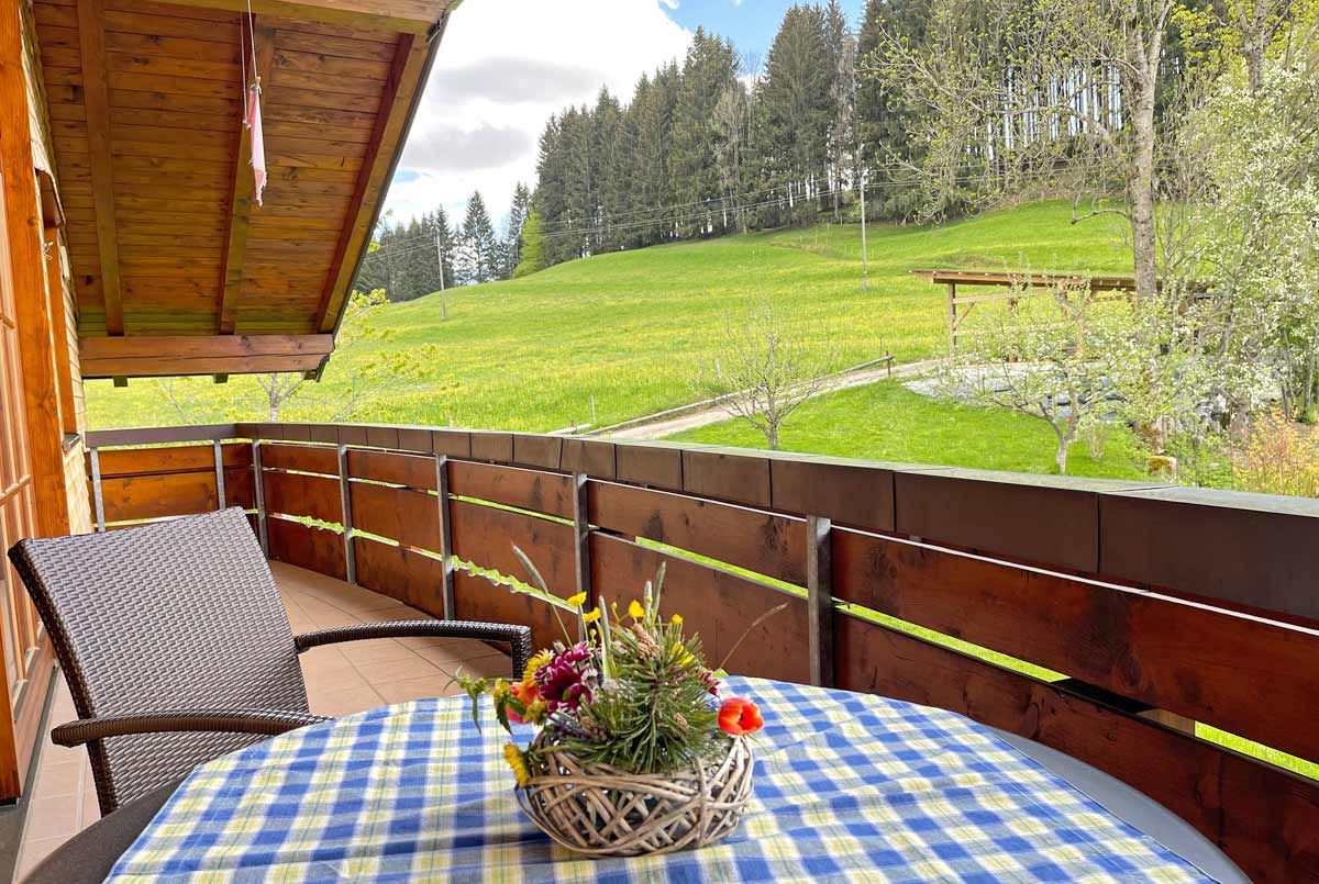 Ferienwohnung Ofterschwanger Hornblick